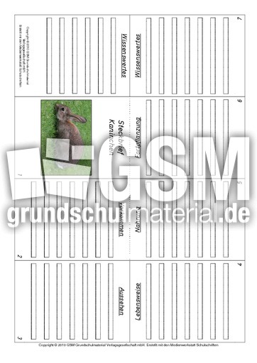 Faltbuch-Kaninchen.pdf